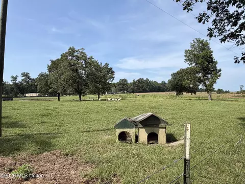 Other - 8488 Neely Avera Rd, Neely, MS 39461 photo 7 of 22