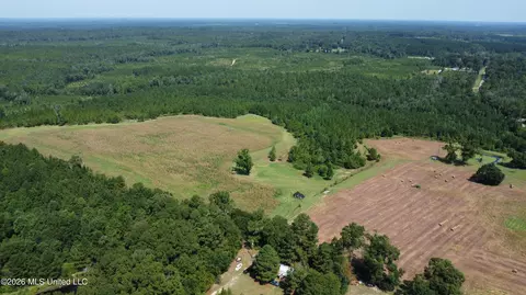 Other - 8488 Neely Avera Rd, Neely, MS 39461 photo 20 of 22