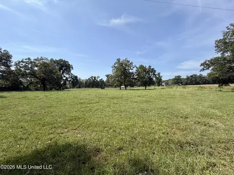 Other - 8488 Neely Avera Rd, Neely, MS 39461 photo 4 of 22