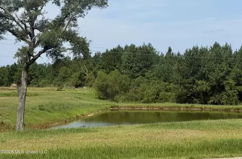 View/Area - 8488 Neely Avera Rd, Neely, MS 39461 photo 1 of 1