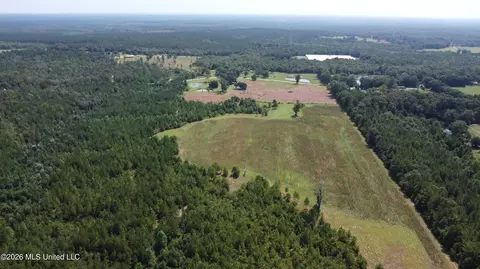 Other - 8488 Neely Avera Rd, Neely, MS 39461 photo 19 of 22