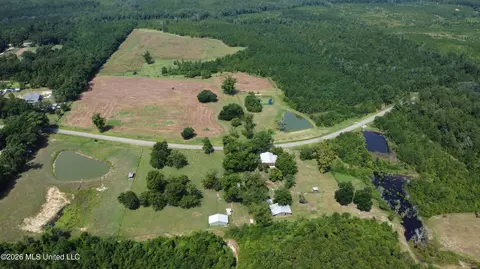 Other - 8488 Neely Avera Rd, Neely, MS 39461 photo 15 of 22
