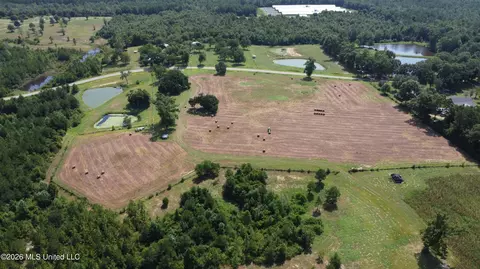 Other - 8488 Neely Avera Rd, Neely, MS 39461 photo 17 of 22