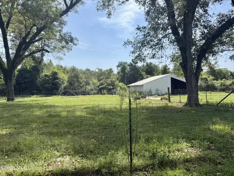 Other - 8488 Neely Avera Rd, Neely, MS 39461 photo 8 of 22