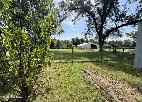 Exterior - 8488 Neely Avera Rd, Neely, MS 39461 photo 13 of 13