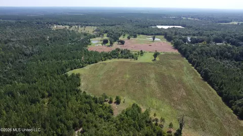 Other - 8488 Neely Avera Rd, Neely, MS 39461 photo 18 of 22