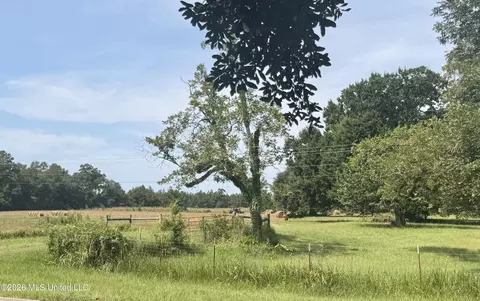 Other - 8488 Neely Avera Rd, Neely, MS 39461 photo 9 of 22
