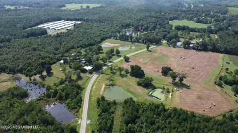Other - 8488 Neely Avera Rd, Neely, MS 39461 photo 16 of 22
