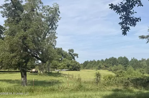 Other - 8488 Neely Avera Rd, Neely, MS 39461 photo 10 of 22