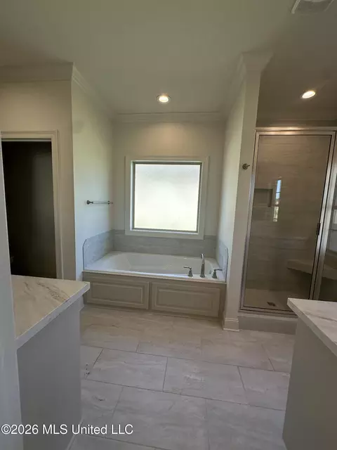 Bath - 416 Old Maple Cv, Madison, MS 39110 photo 3 of 6