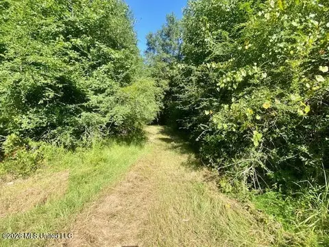 Chisholm Drive, Summit, MS 39666 photo 5