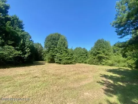 Chisholm Drive, Summit, MS 39666 photo 2