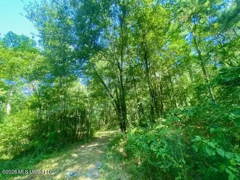 Chisholm Drive, Summit, MS 39666 photo 10