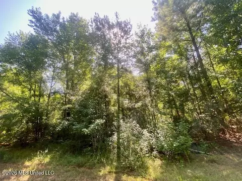 Chisholm Drive, Summit, MS 39666 photo 11