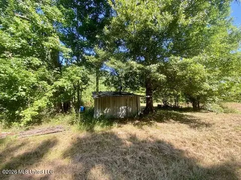 Chisholm Drive, Summit, MS 39666 photo 8