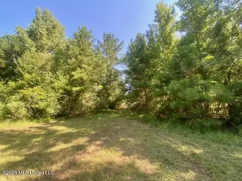 Chisholm Drive, Summit, MS 39666 photo 3
