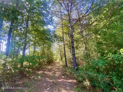 Chisholm Drive, Summit, MS 39666 photo 9