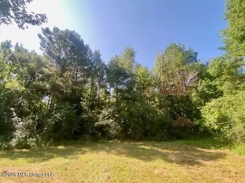 Chisholm Drive, Summit, MS 39666 photo 6
