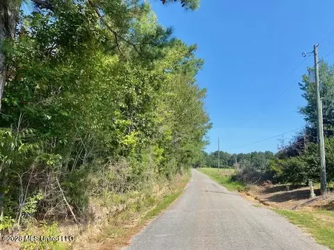 Chisholm Drive, Summit, MS 39666 photo 12