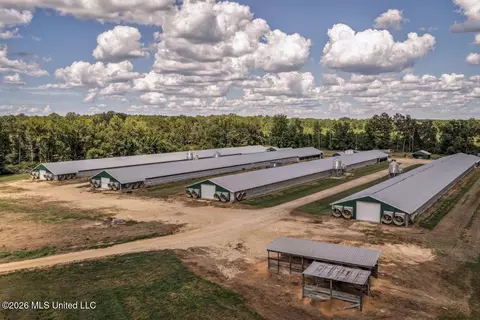 133 G W Smith Rd, Silver Creek, MS 39663