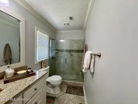 Bath - 126 Sumac Dr, Madison, MS 39110 photo 3 of 3