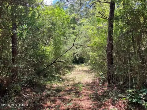 Ms-48, Tylertown, MS 39667 photo 4