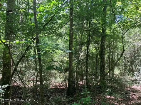 Ms-48, Tylertown, MS 39667 photo 5