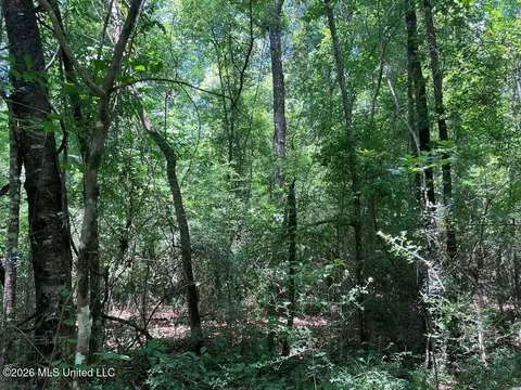 Ms-48, Tylertown, MS 39667 photo 2