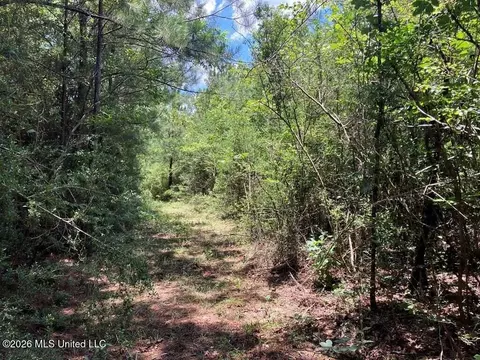 Ms-48, Tylertown, MS 39667 photo 3