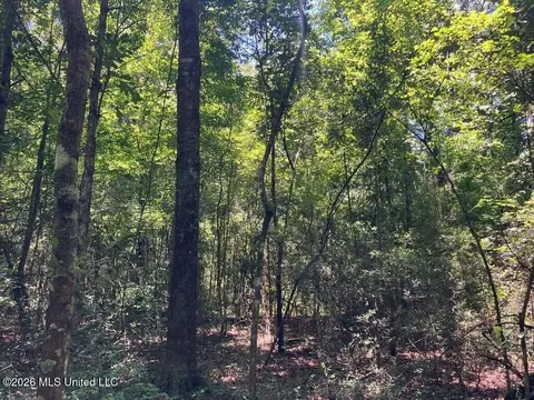 Ms-48, Tylertown, MS 39667 photo 6