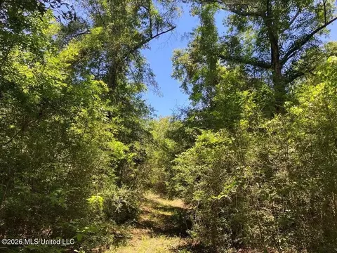 Ms-48, Tylertown, MS 39667 photo 7