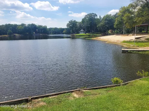 View/Area - 4019 Victoria Dr, Nesbit, MS 38651 photo 9 of 9
