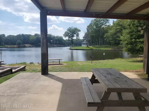 View/Area - 4019 Victoria Dr, Nesbit, MS 38651 photo 8 of 9