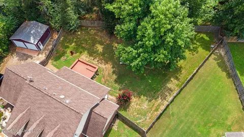 View/Area - 4019 Victoria Dr, Nesbit, MS 38651 photo 4 of 9