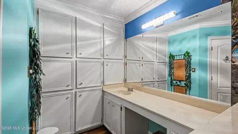 Bath - 212 Overton Ct, Madison, MS 39110 photo 3 of 6