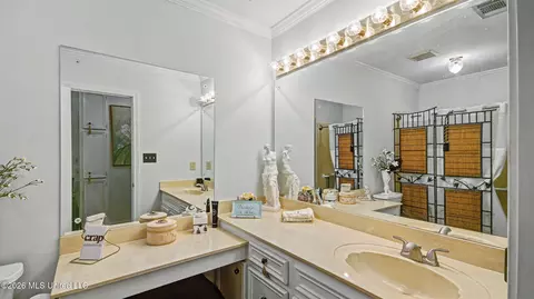 Bath - 212 Overton Ct, Madison, MS 39110 photo 1 of 6
