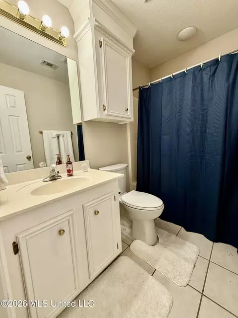 Bath - 895 Windward Dr, Richland, MS 39218 photo 3 of 3