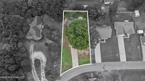 View/Area - 109 Flower Cir, Coldwater, MS 38618 photo 1 of 2