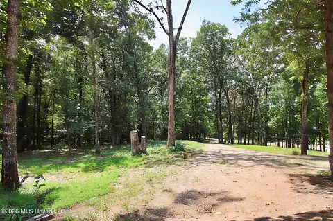 Exterior - 4384 Susan Ln, Hernando, MS 38632 photo 5 of 6
