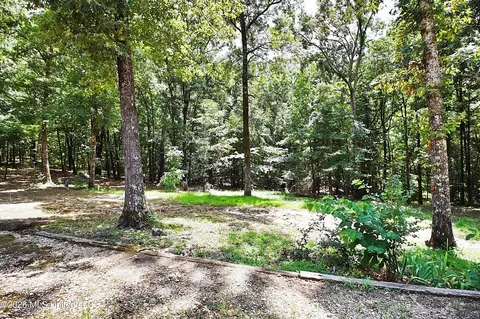 Exterior - 4384 Susan Ln, Hernando, MS 38632 photo 3 of 6