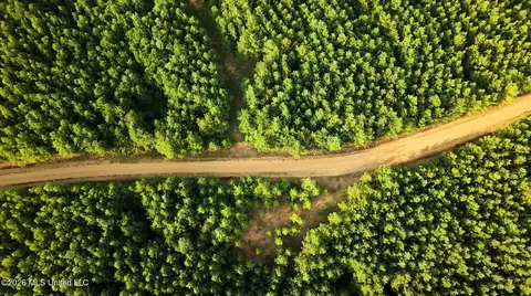 Co Rd 4300, Union, MS 39365 photo 13