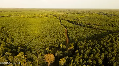 Co Rd 4300, Union, MS 39365 photo 49