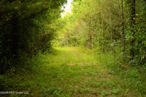 Co Rd 4300, Union, MS 39365 photo 18