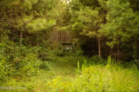 Co Rd 4300, Union, MS 39365 photo 59