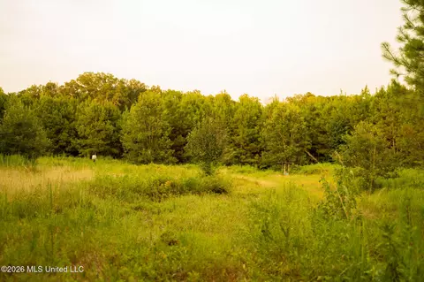 Co Rd 4300, Union, MS 39365 photo 60