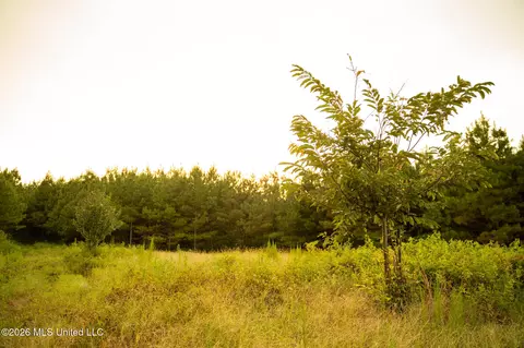 Co Rd 4300, Union, MS 39365 photo 62