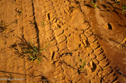 Co Rd 4300, Union, MS 39365 photo 5