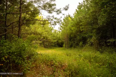 Co Rd 4300, Union, MS 39365 photo 26