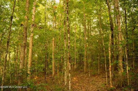 Co Rd 4300, Union, MS 39365 photo 40