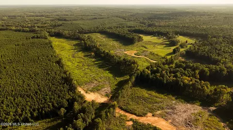 Co Rd 4300, Union, MS 39365 photo 6